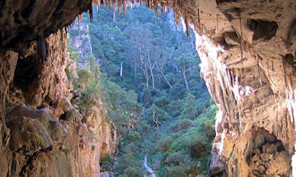 Jenolan Caves and Blue Mountains Excursion